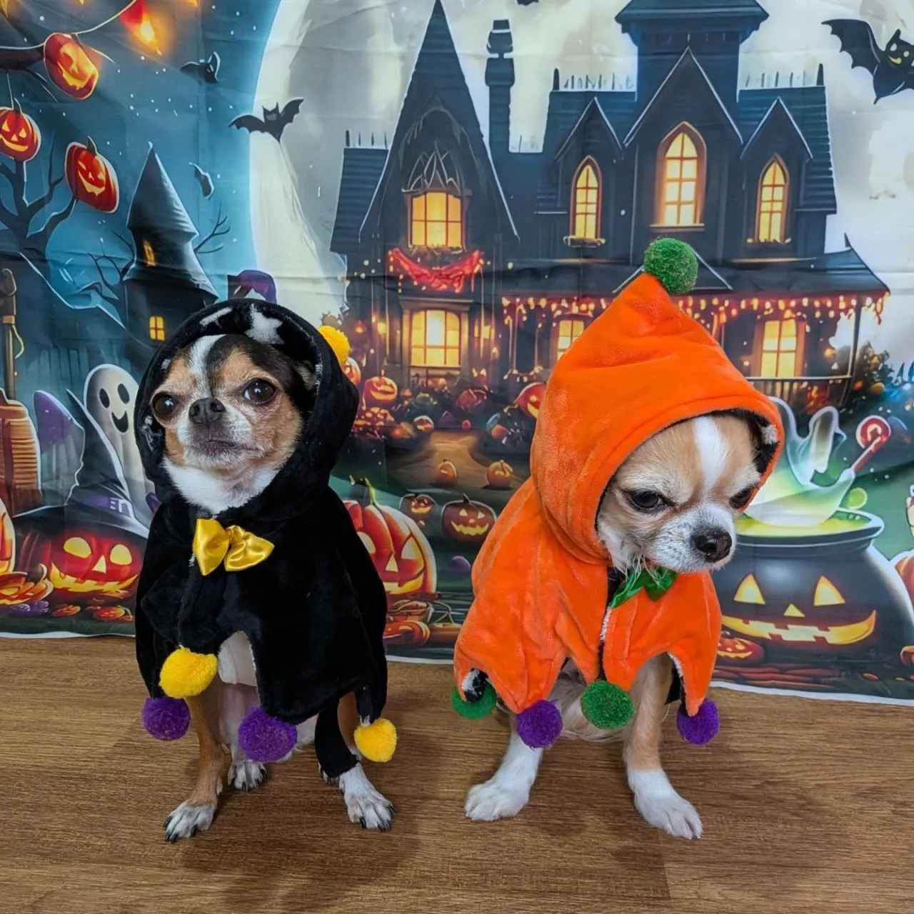ハロウィンコスプレ🎃