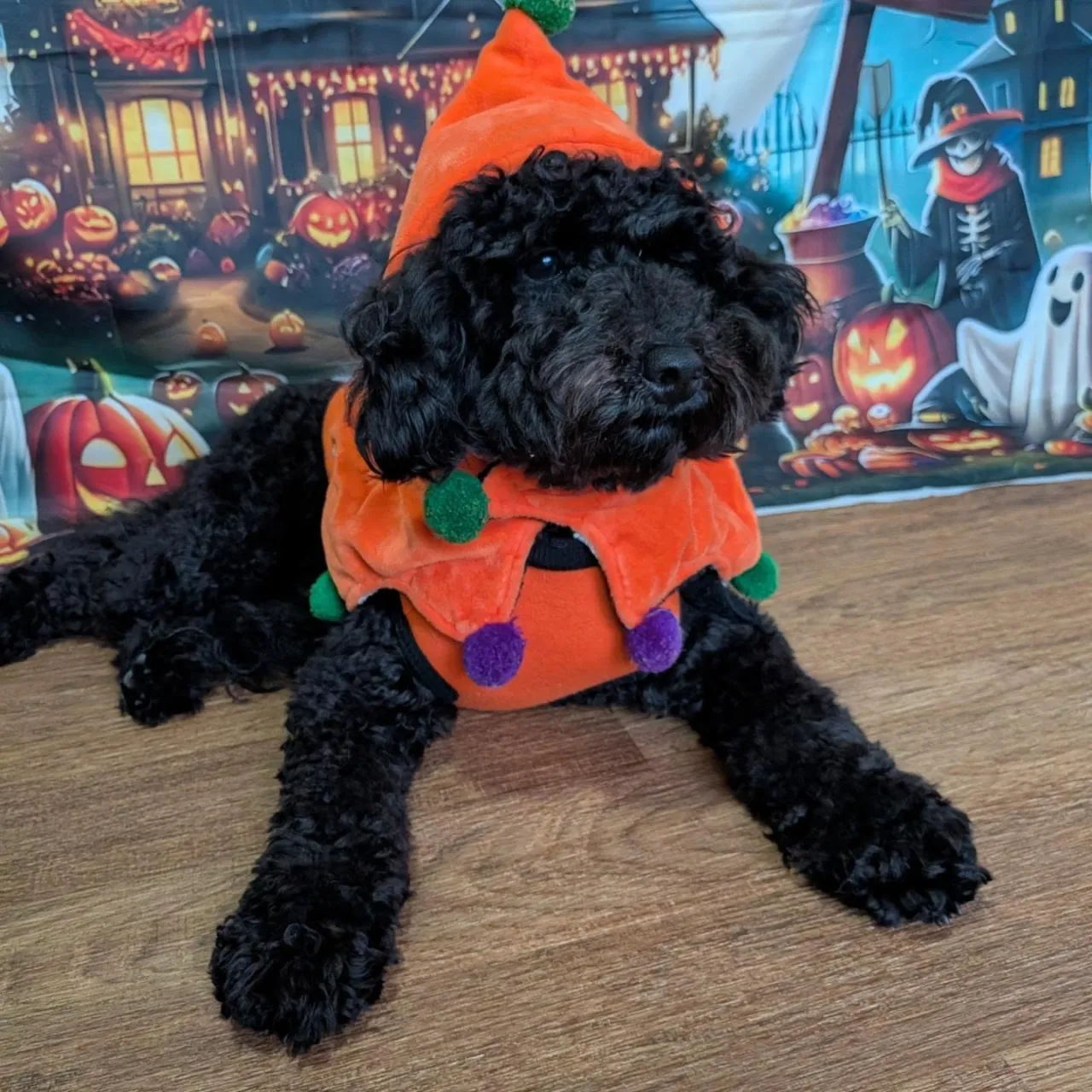 ハロウィンコスプレ🎃