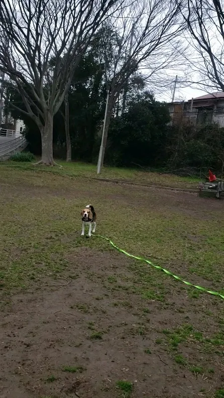 雨やんでお外で遊べたよ😄