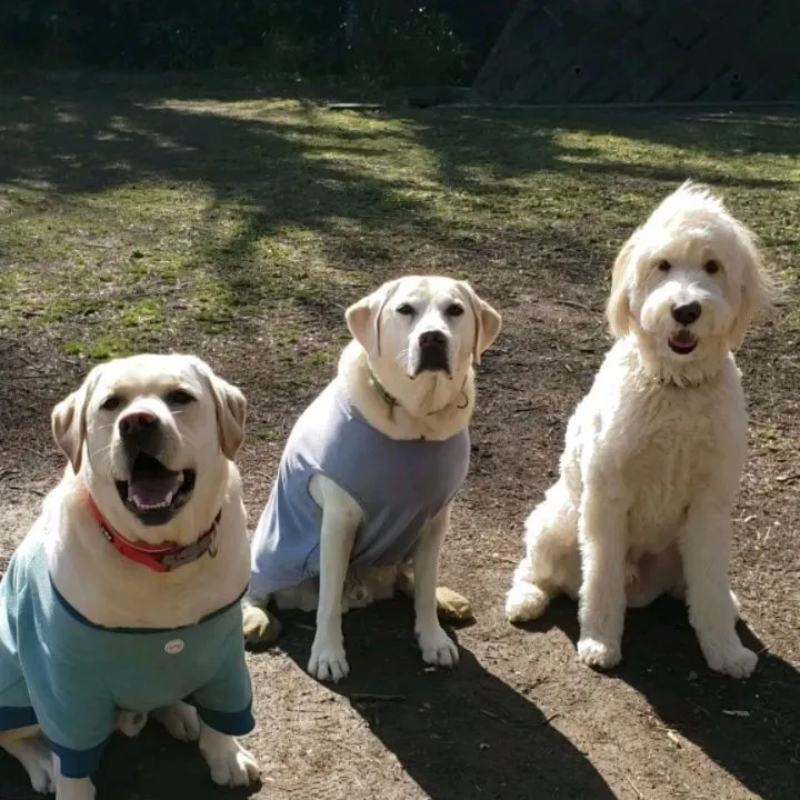 朝は公園でたっぷり運動♪