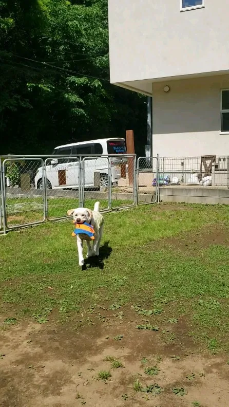 今日も快調だぁ～♪