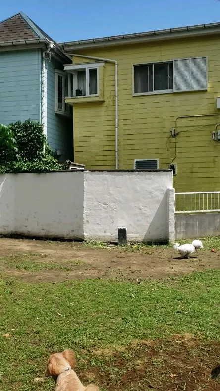 いっぱい遊んだよ😊