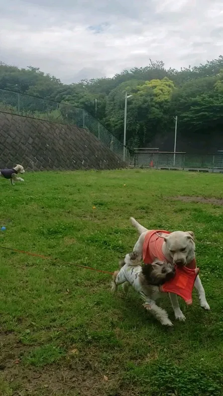 お天気が良いので公園へ♪ 