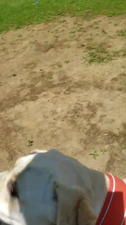 ちびっこがいてもマイペースなまーちゃん💓