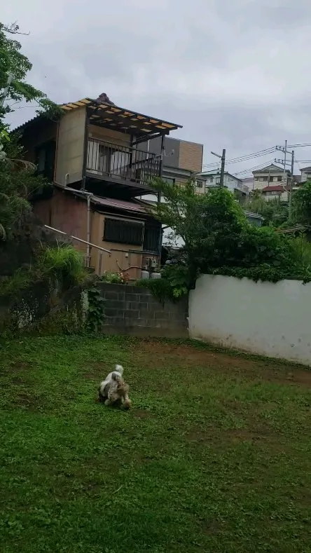 おもちゃで遊ぶちびっこ♥️