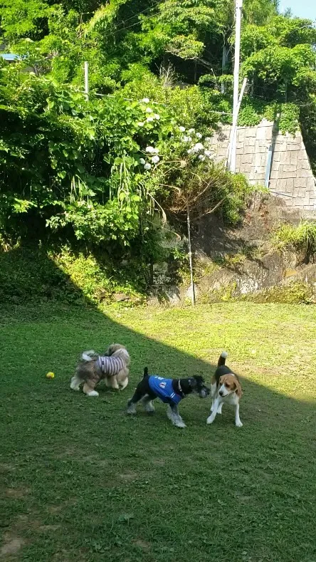 今日も暑かった～😅