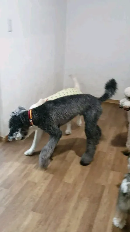 今日は雨でお部屋遊び♪