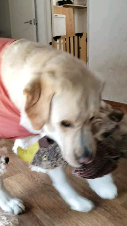 今日はさらに暑くなった感じがします。