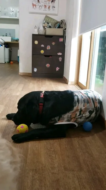 今日は残念ながら☔