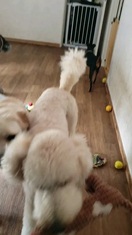 お部屋遊びは楽しいねっ😊