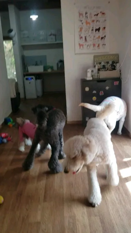 今度はりお君とまーちゃん♥️