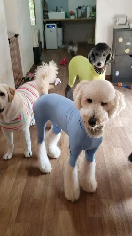 昨日は朝から暑くてお部屋でたっぷり遊びました♪