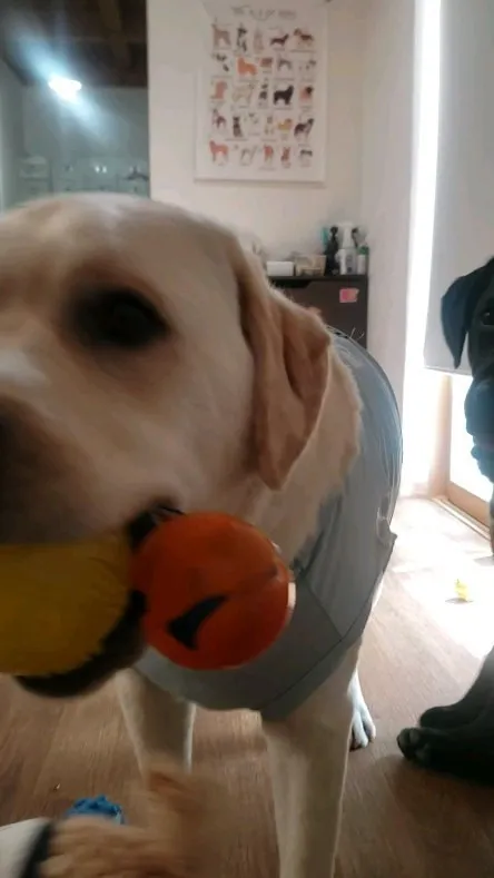 朝から暑いのでお部屋遊び♪