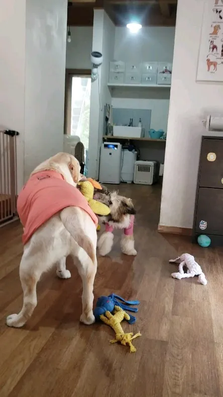 お部屋でおもちゃ遊び♪