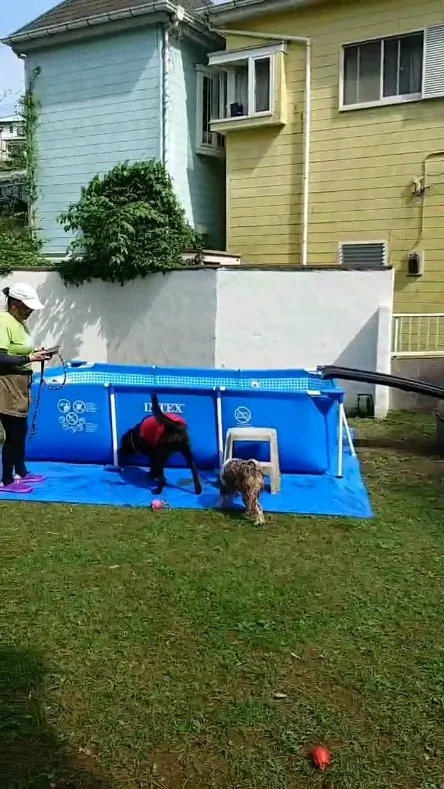 プールにはいれたよ😄