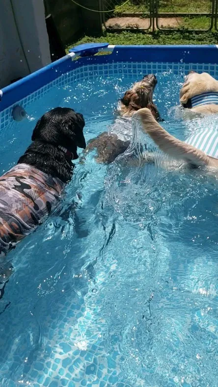 今日も暑いのでプール遊び♪