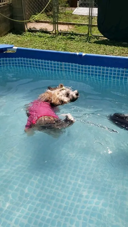 上手に泳ぐロデイ💓