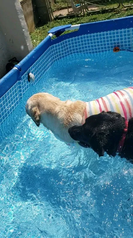 暑い夏はプールにはいって楽しく過ごすよ😊
