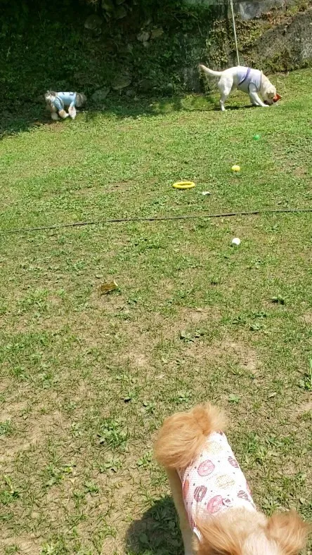 今日もプールday♪