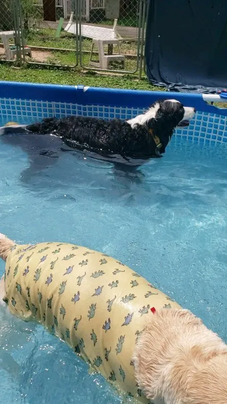 今日もプールだぁ～♪