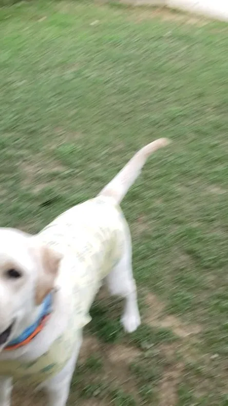 火曜日からホームステイしていたみるくちゃん💓