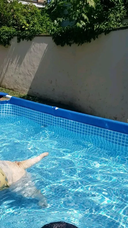 プール、楽しいね😄