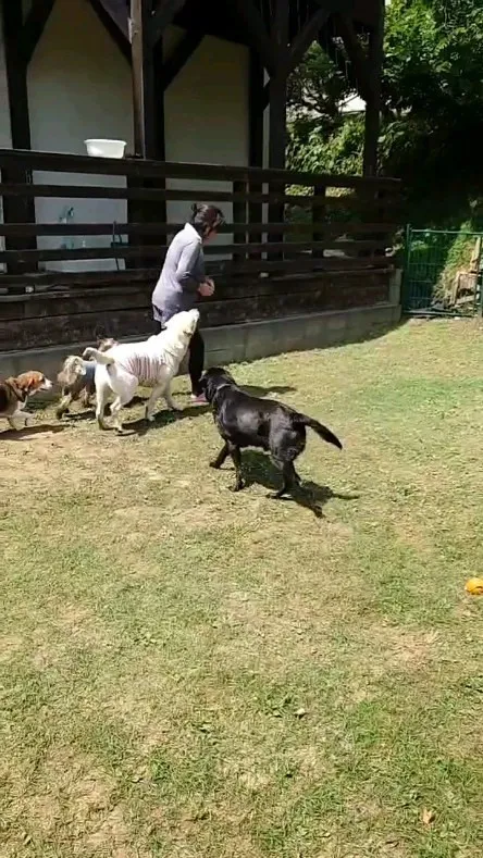 みんなで走るよ～♪