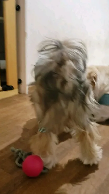 今日は台風接近でどうなることやらと心配でしたがなにも被害がな...