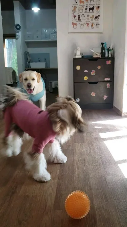 楽しく遊ぶ2ぴき💓