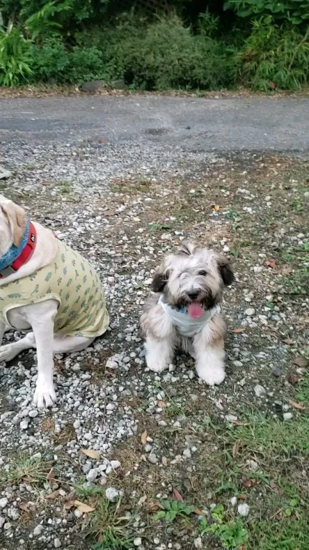 お散歩から帰ってきました♪