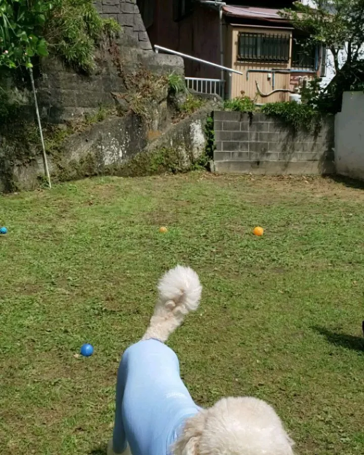 みんな暑い中いっぱい遊びました😊