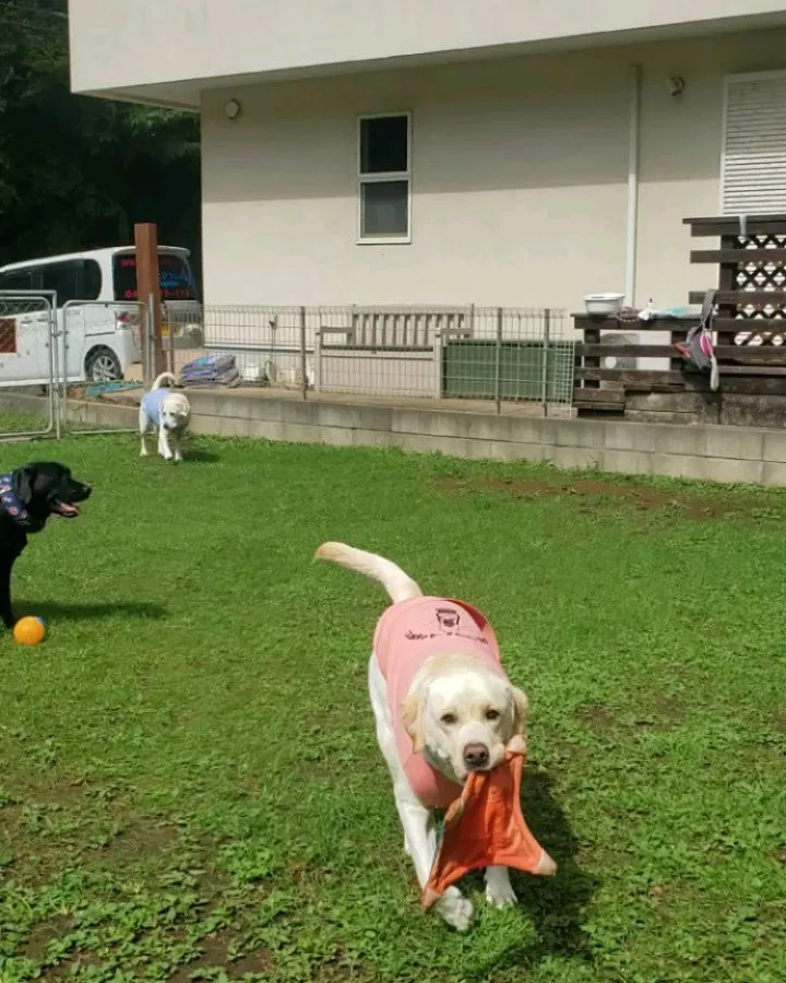 今日も暑いです😅