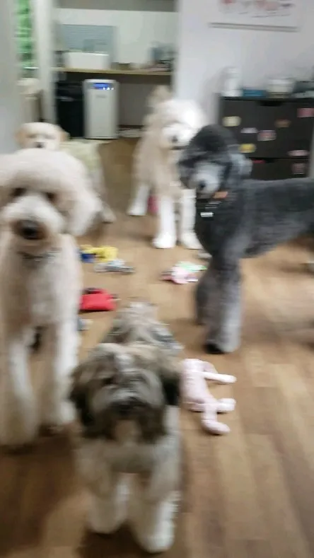 朝から雨降ったりやんだりでお外では遊べないから