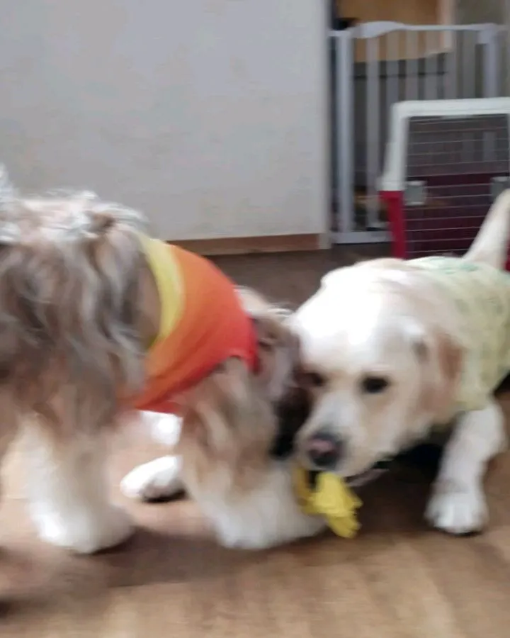 本当なら昨日の夜から大阪へ行く予定でしたが台風のために予定が...