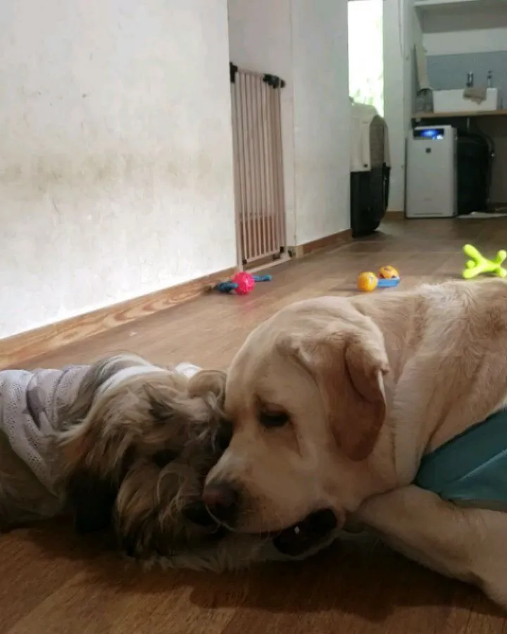 今日も台風でお外は大雨😞