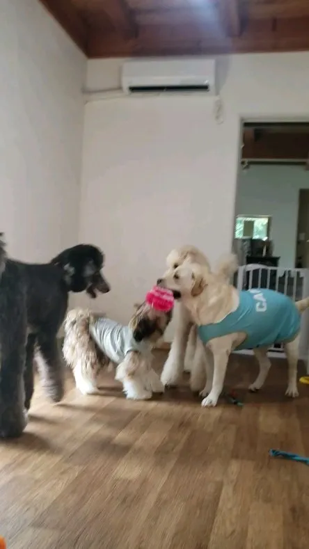 台風もやっと去ってくれてひと安心😊