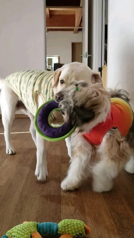 木曜日の夜帰宅したのが夜の11時前。