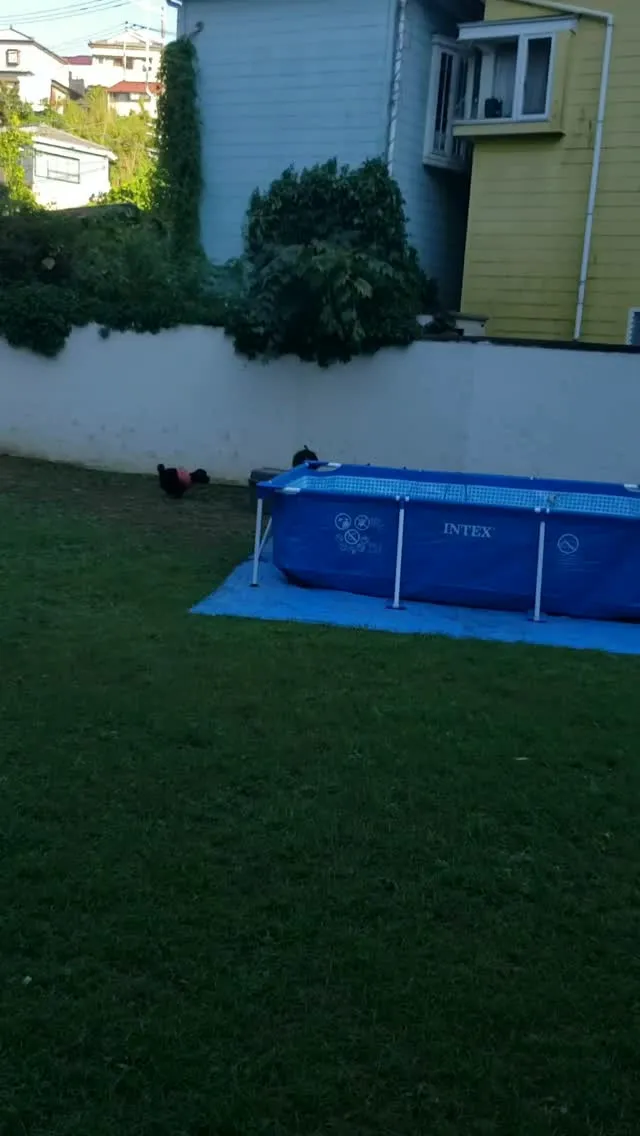 明日はプールデイなので夕方準備しました。