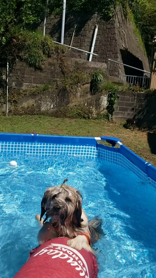 今日も暑いからプールだよ😊