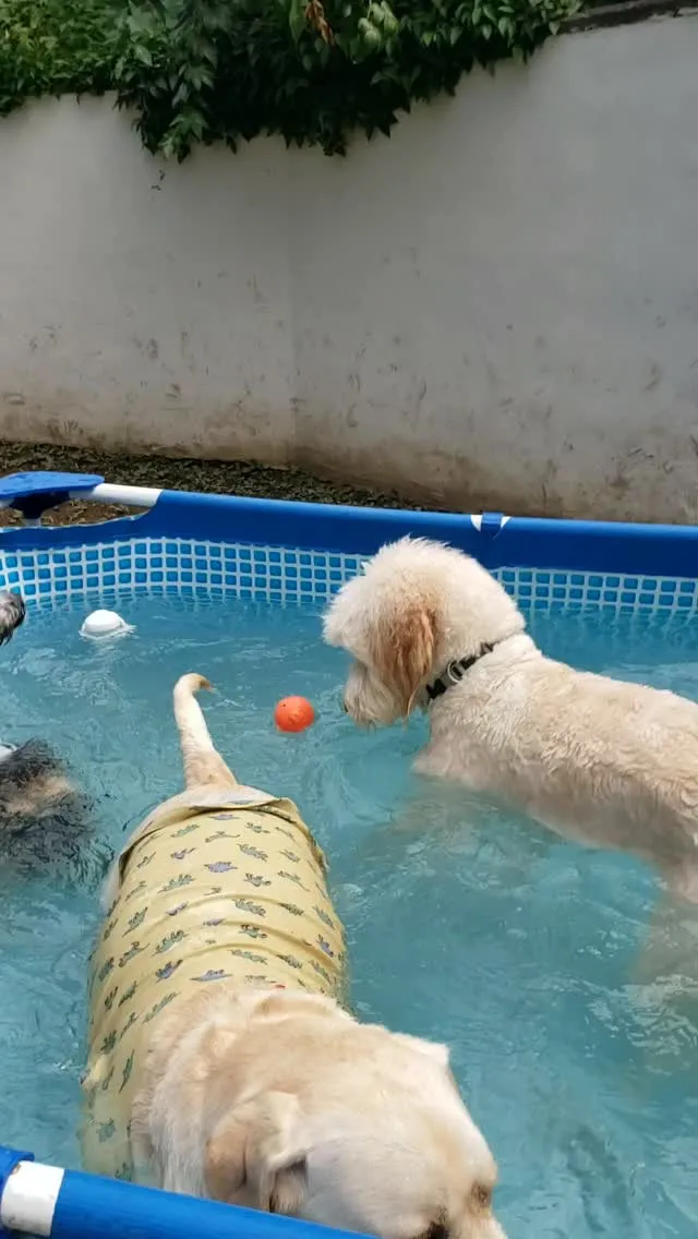 今日もプールだあ～😄