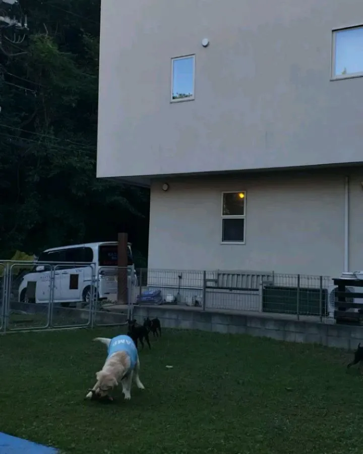 今日も暑かったのでお部屋遊びがメインでした。