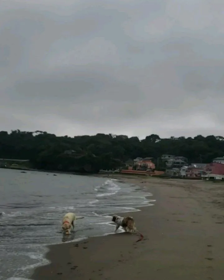 久しぶりに海岸へ♪