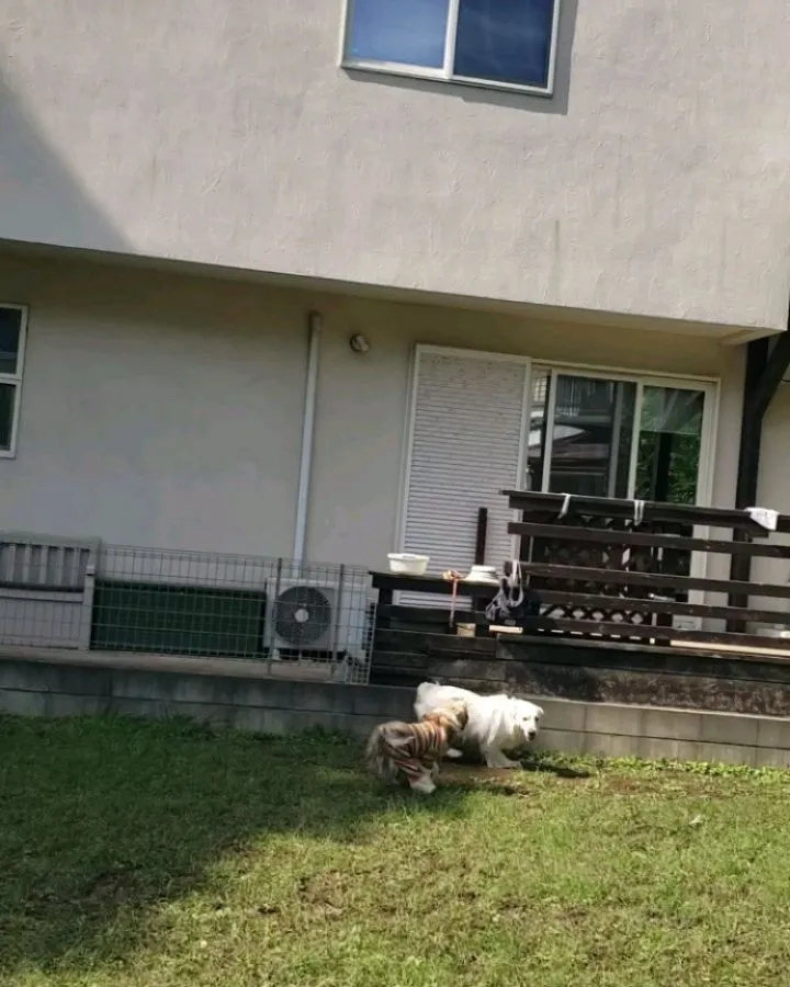 今日は雪ちゃん来てくれました😊