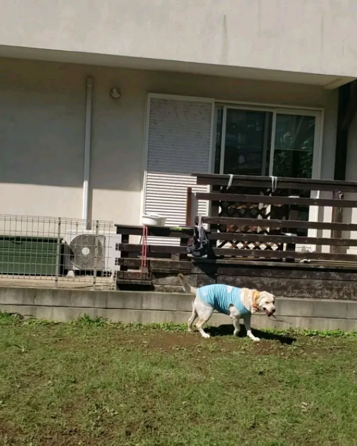 ランで遊ぶ2ぴき♥️