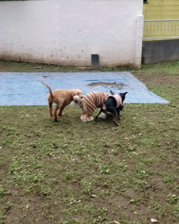 楽しく遊ぶちびっこたち♥️