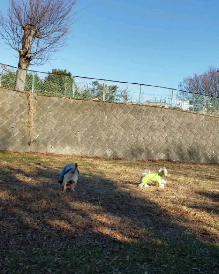 午前中は公園へ🎵