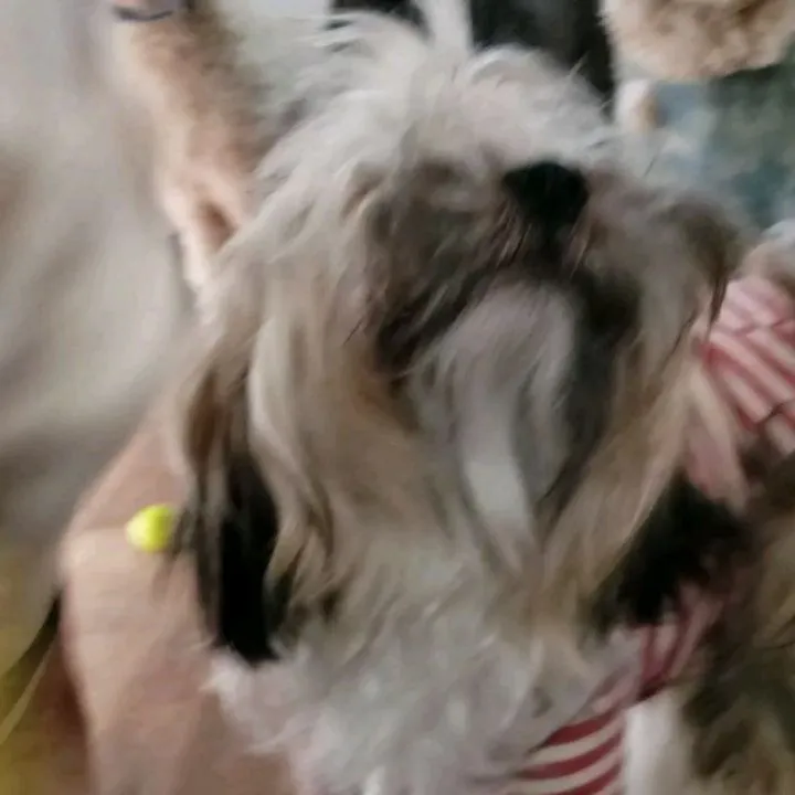 4月になりましたが生憎の☔