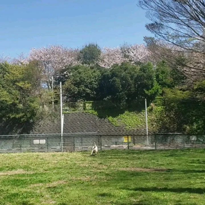 よいお天気なので公園へ♪