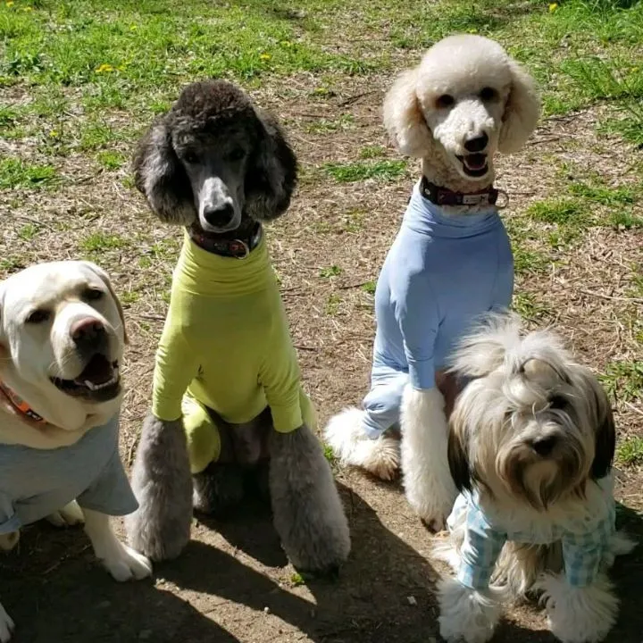 公園に到着したらまずはリラックス♥️