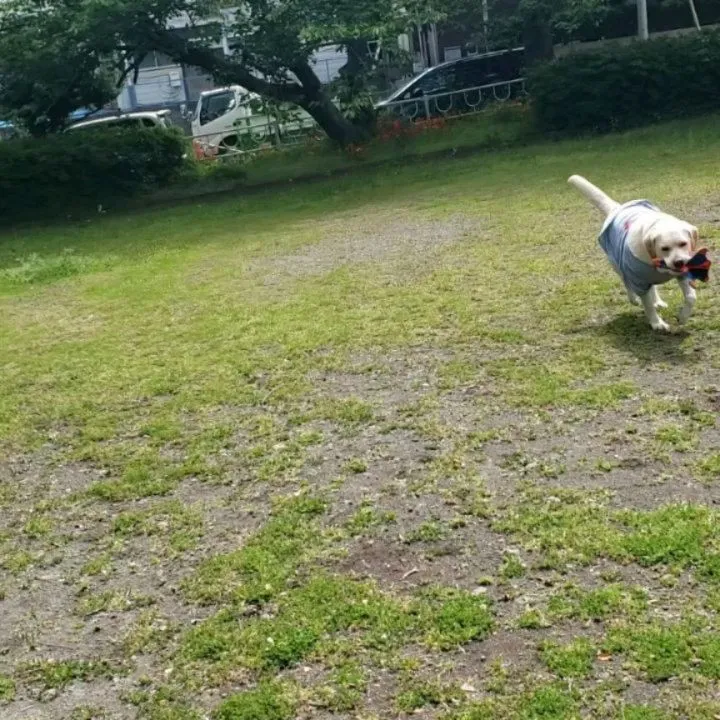 お天気が良かったので公園へ♪